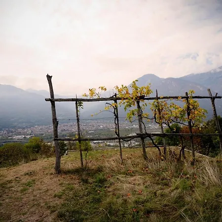 Dom wakacyjny Casa Del Cecco Trontano